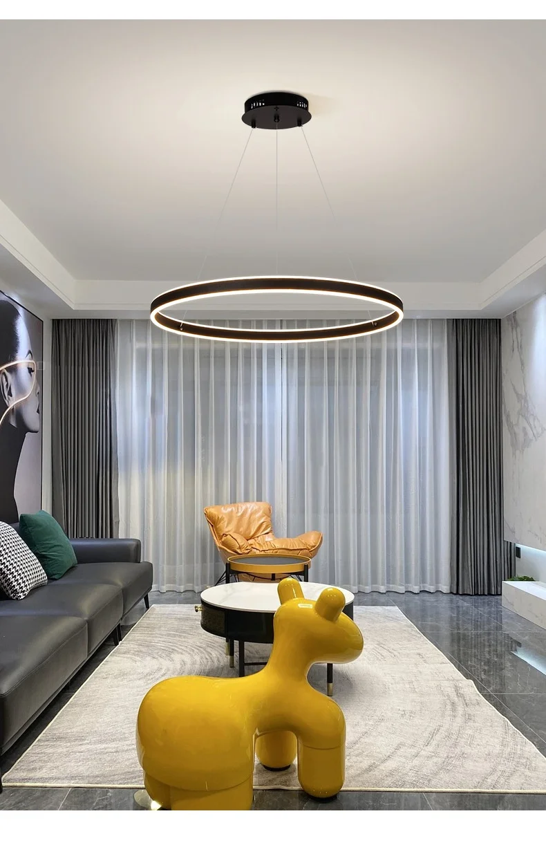 Minimalism Circle LED Ceiling Chandelier