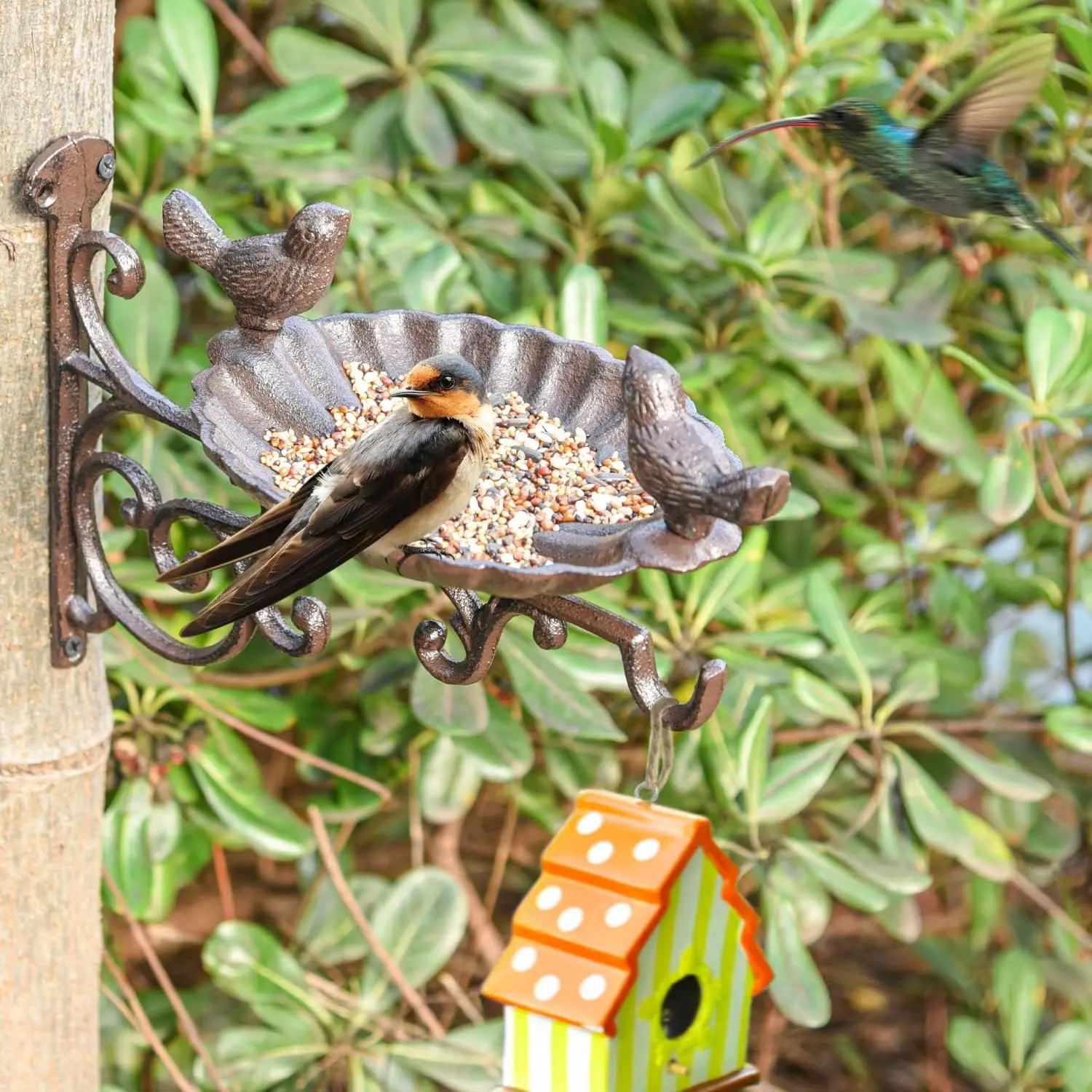 Heavy Duty Cast Iron Bird Feeder with Hanging Bracket - Wall Mounted Bird Bath - Vintage & Lovely Birds Hanger Wall Hook