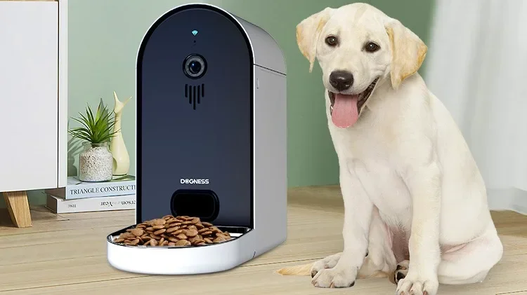 Dogness smart wifi app voice 6l stainless steel food dispenser bowl animal dog pet feeder with HD camera