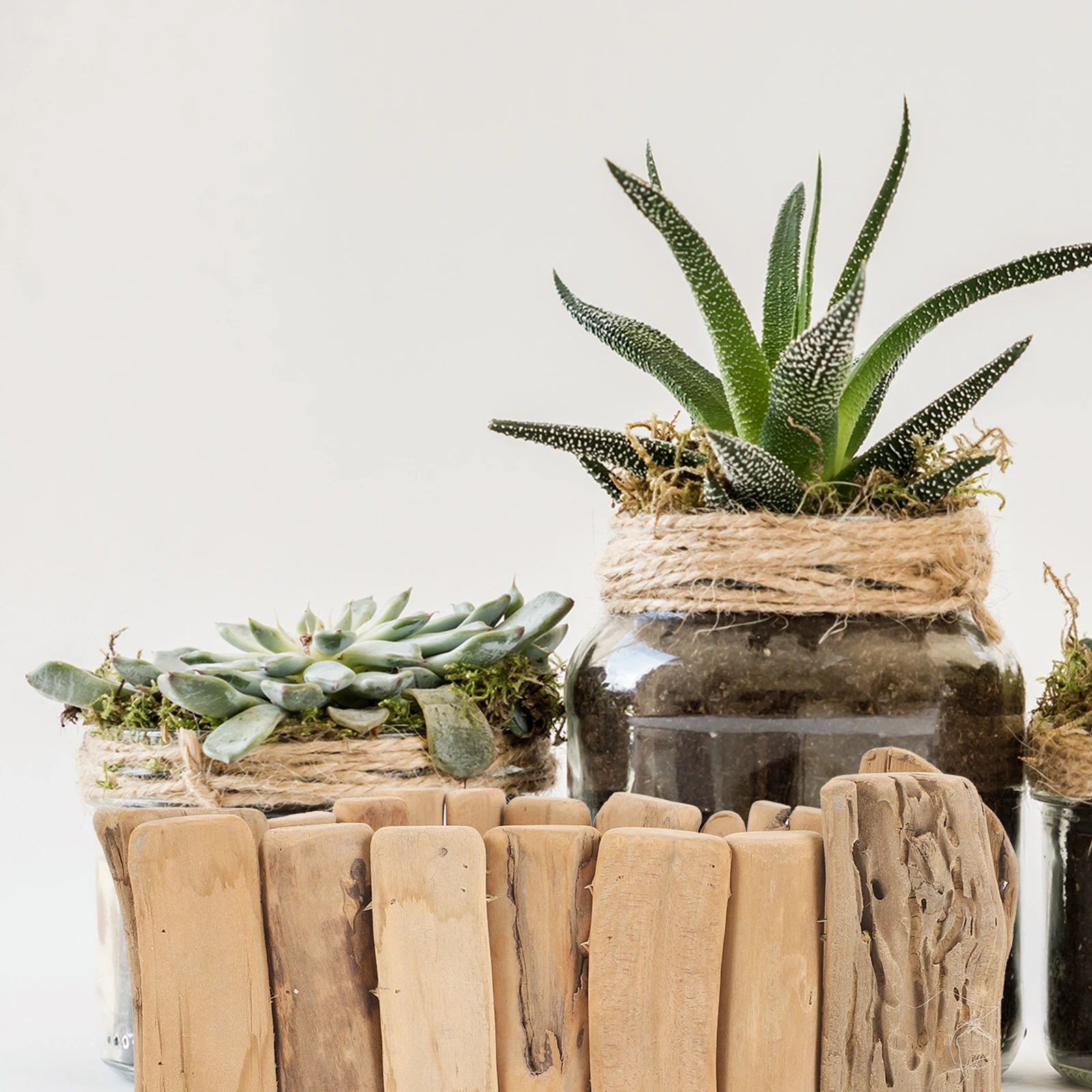 

303B Driftwood Green Handmade Creative Flower Pots Desktop Wood for Home Office Balcony Garden Decor