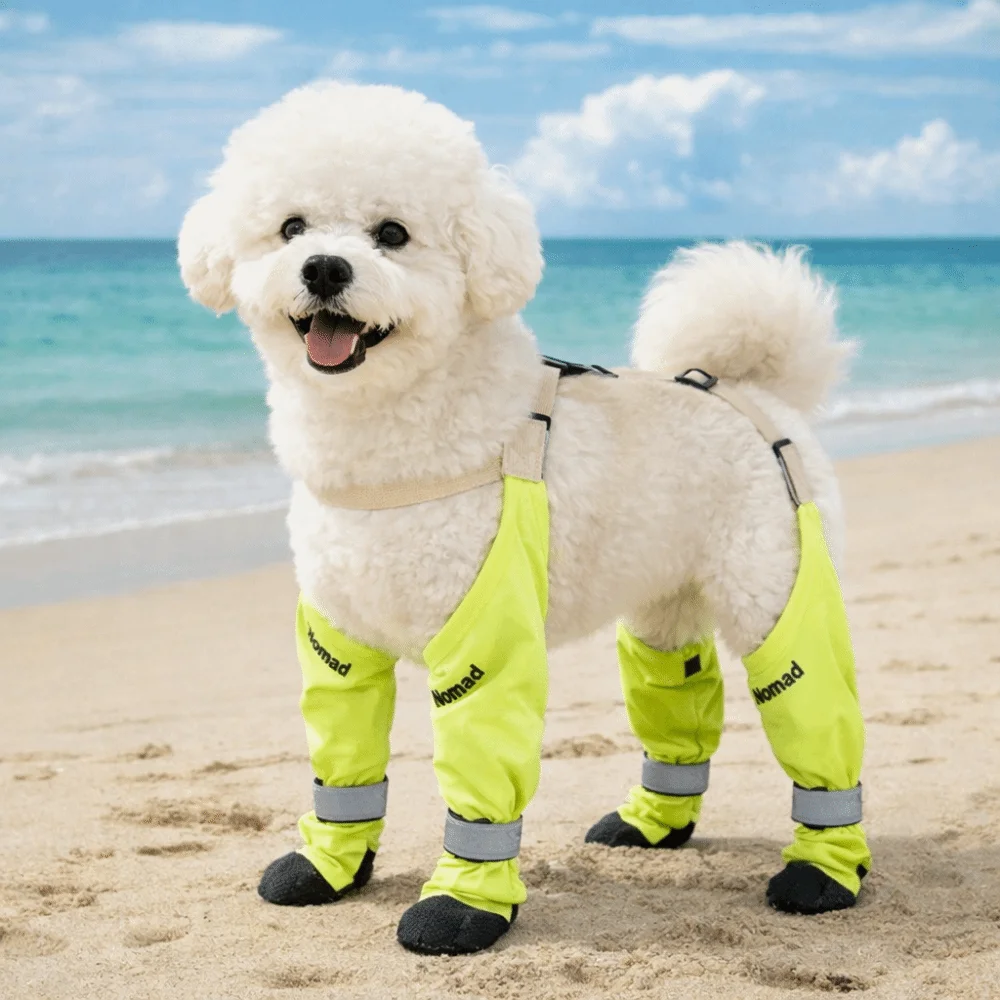 

Soft Sole Adjustable Dog Foot Covers Anti-dirty Non Slip Dog Rain Pants Full Leg Protection Waterproof Pet Dust Pants Going Out