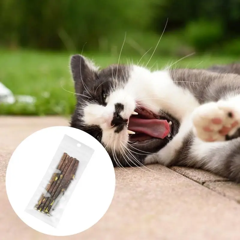 5Pcs Natural Cat Catnip Teeth Molar Stick Pet Cat Snacks Cleaning Teeth Tools Cat Treat Toys Increase Appetite