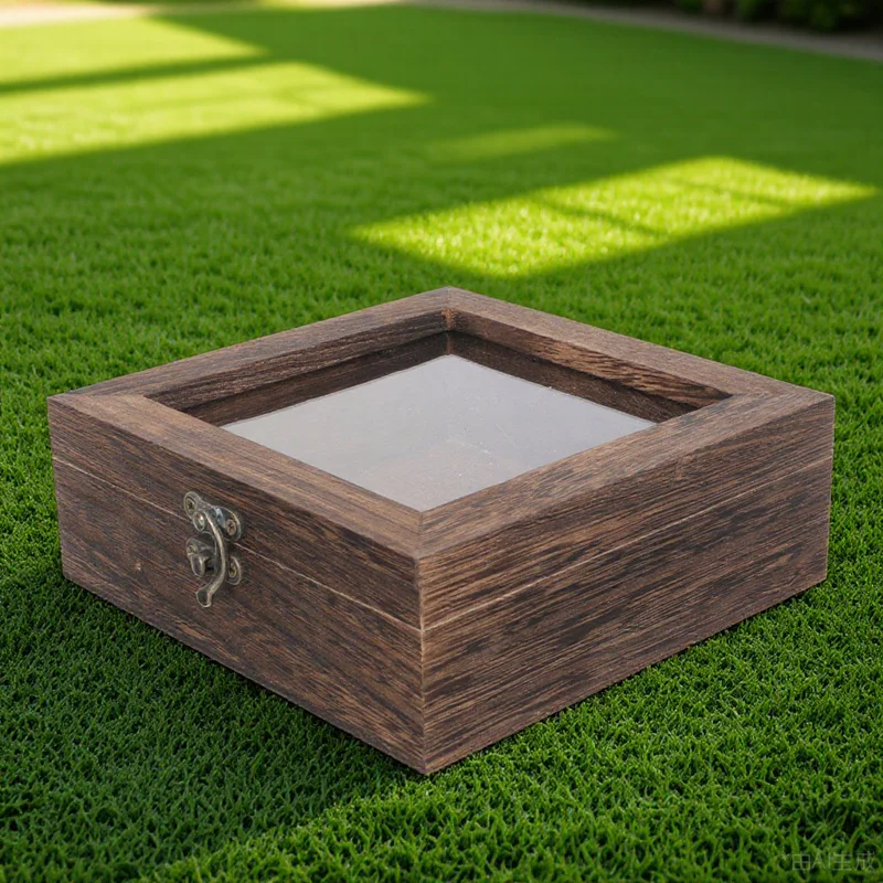 

Insect Specimen Display Box Transparent Lid Durable Storage Case for Plant Jewelry Display Desktop Decoration