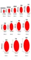 size 1  red