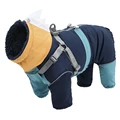 Navy Blue Yellow