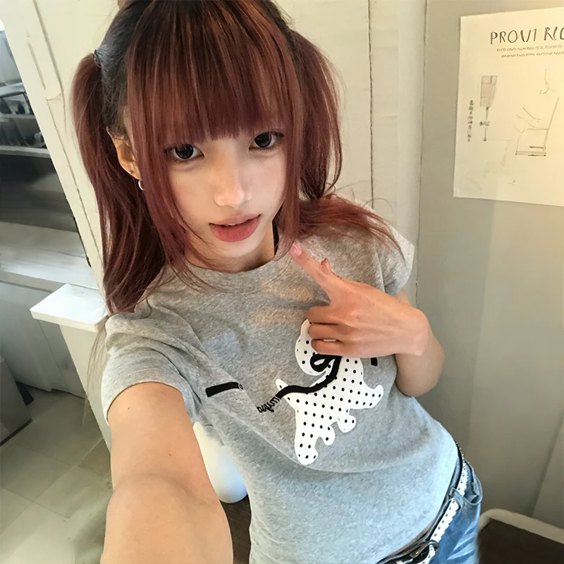 Japanese Y2k Polka Dot Puppy Print T-shirt 2000s Style Short Sleeve T Shirt Vintage Harajuku Cutecore Tops American