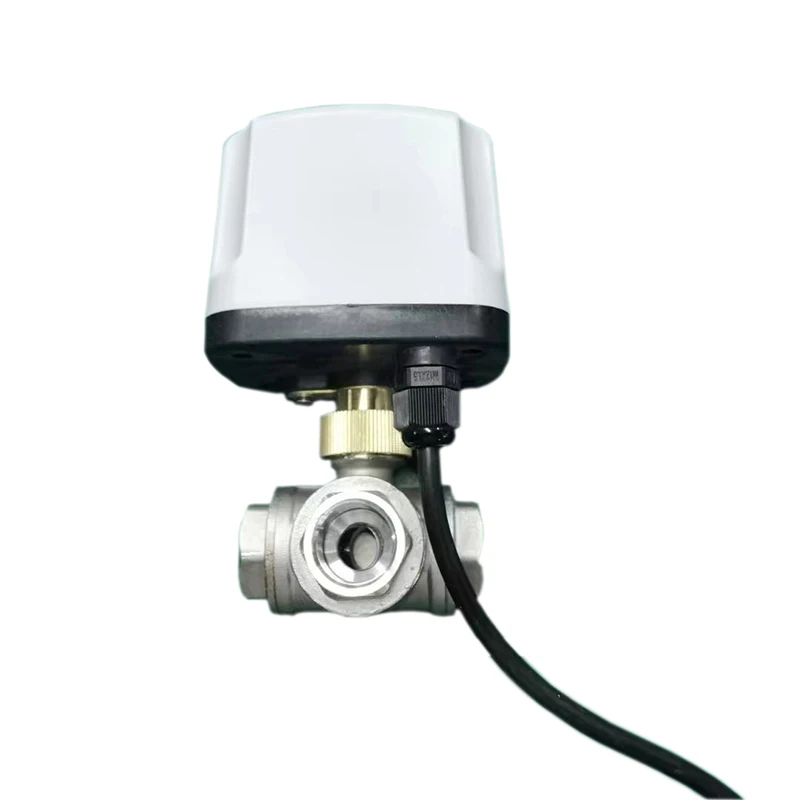 Imagem -03 - Impermeável Motorizado Válvula de Esfera tipo t Válvula de Esfera Elétrica Way 304 Aço Inoxidável Ip65 220v 12v 24v 2-wire Dn15