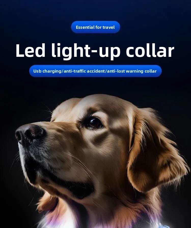Glowing Dog Collar LED Light For Night Walk Safety Flash Anti Lost Colorful USB Rechargeable Pet Supplies