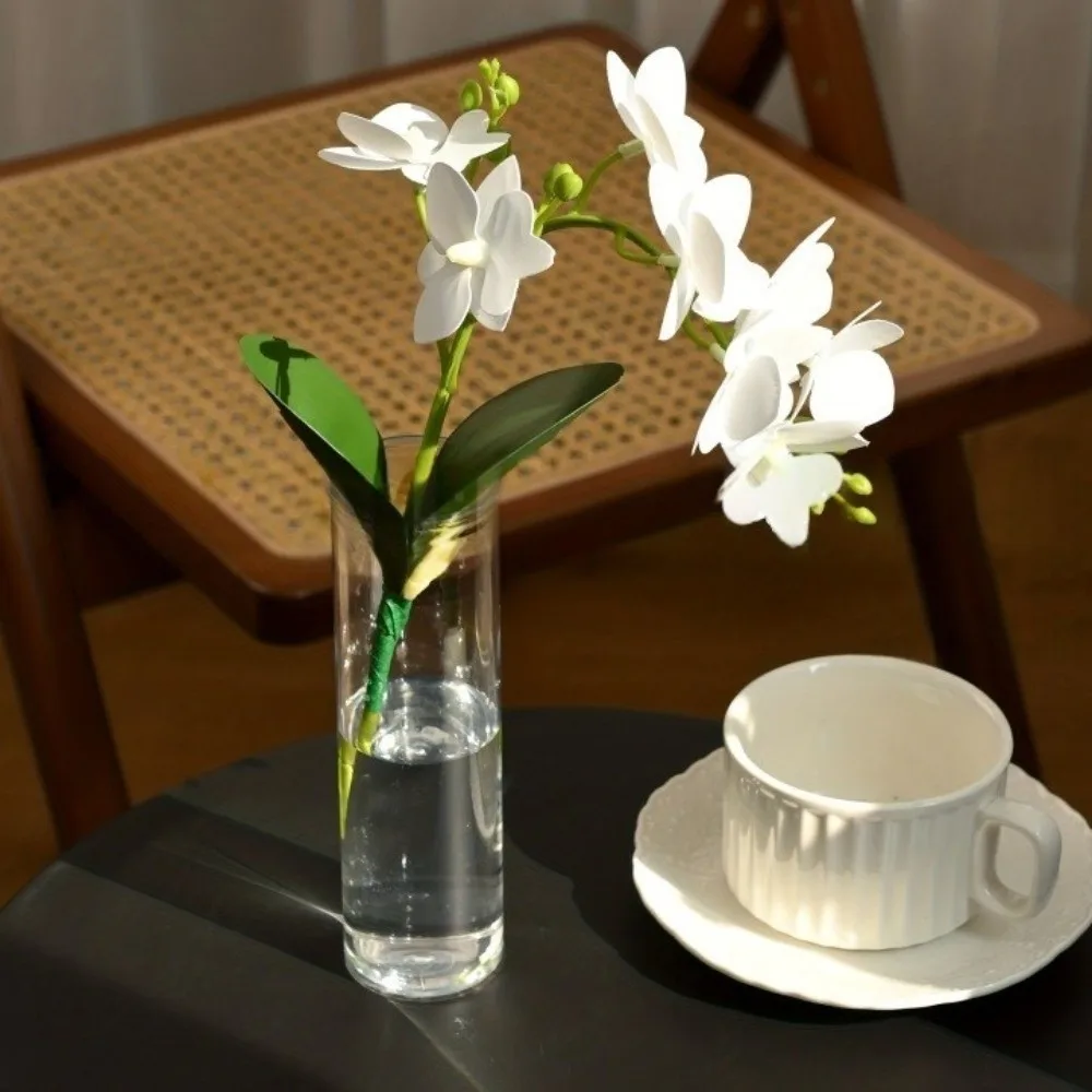 Transparent Flower-Wrapping Vases Plastic Shatterproof Clear Flower Vases Modern Cylindrical Cylinder Vases Centerpieces