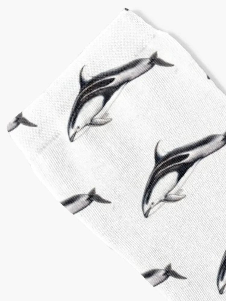 Pacific white-sided dolphin Socks Wholesale hip hop valentine gift ideas moving stockings Socks Girl Men's