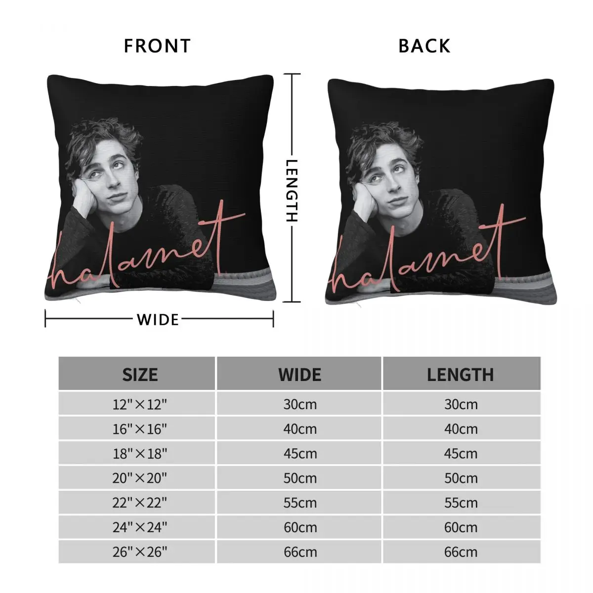 Timothee Chalamet Square Pillowcase Polyester Linen Velvet Pattern Zip Decor Sofa Cushion Cover 18