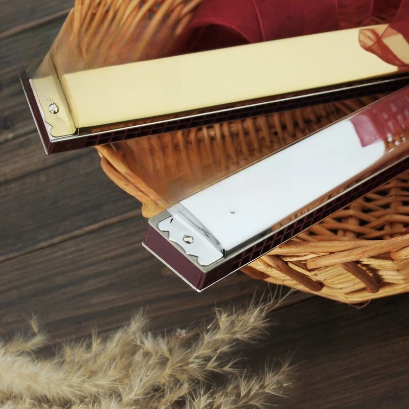 

T28 polyphonic harmonica 28-hole monophonic harmonica 28-hole polyphonic harmonica