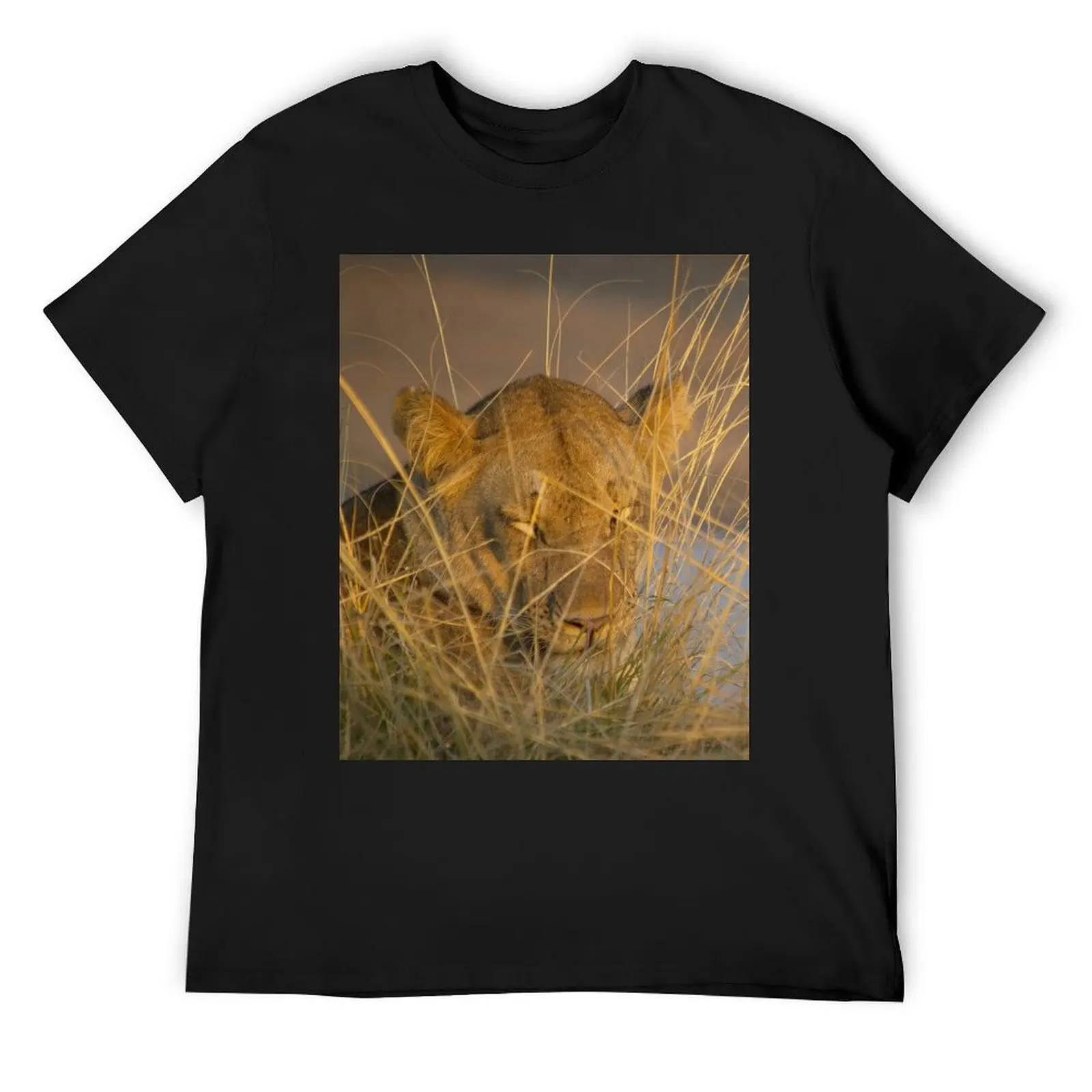 

Sleeping Lioness T-Shirt summer clothes Aesthetic clothing new edition oversized t shirt men clothings