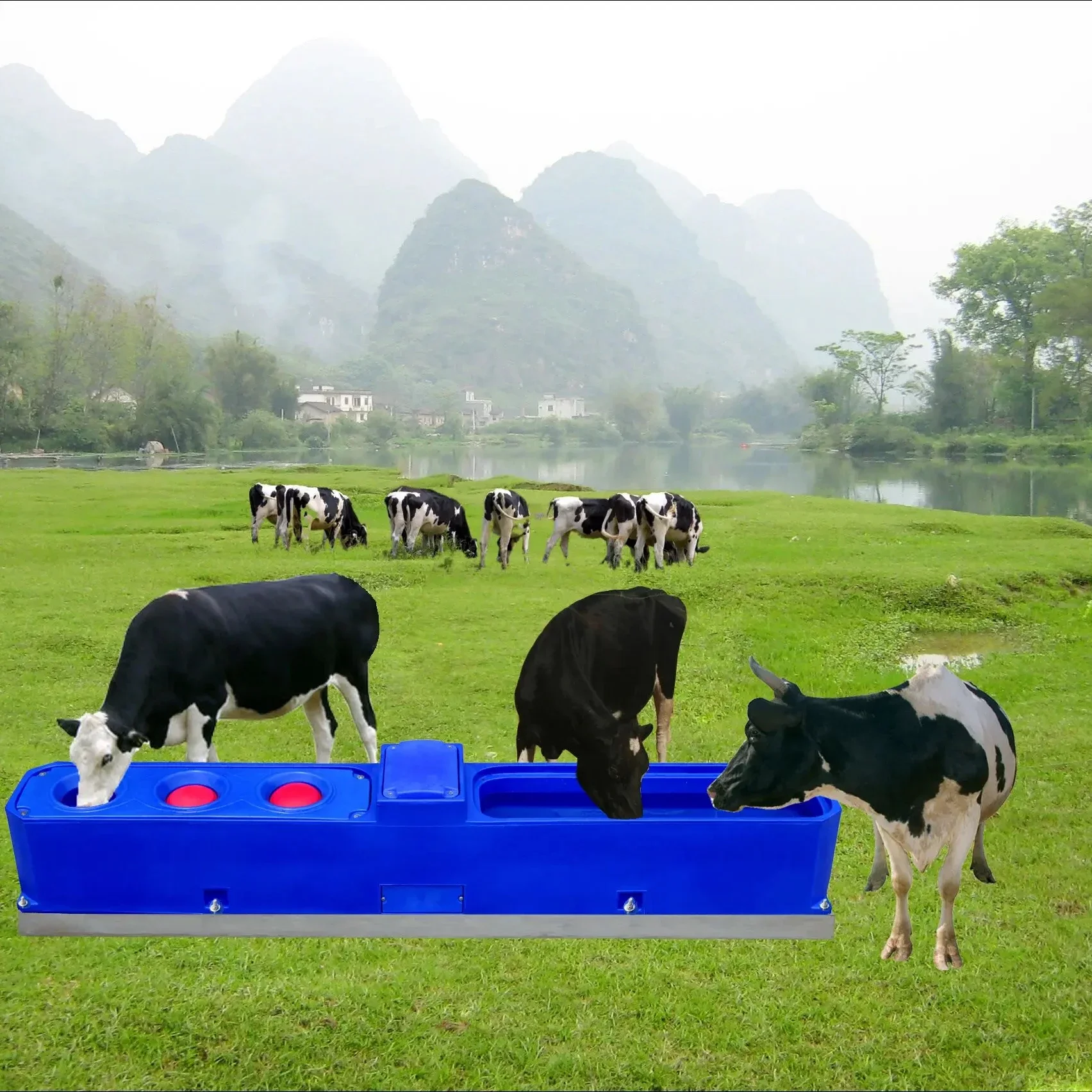 

Blue Constant Temperature Drinking Water Trough Animal Drinking Equipment LLDPE Cow Water Drinker