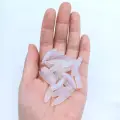 20PCS LD01  bai
