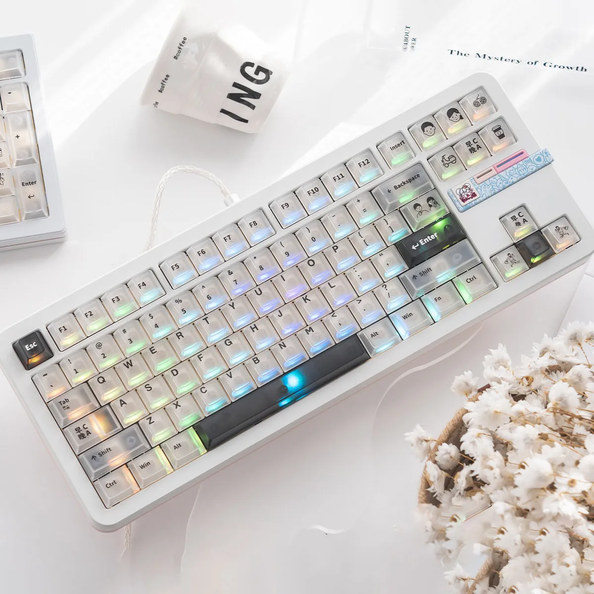 

Transparent Foggy Black White keycaps 150 Keys RGB Cherry profile Light through keycaps set For MX Mechanical Keyboard 68/87/96