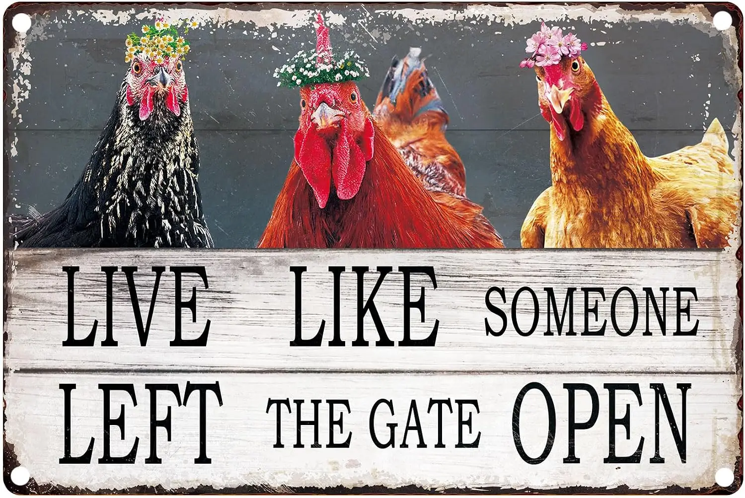 Vintage Chicken Wall Sign – ” Farmhouse Rooster Decor with “LIVE LIKE SOMEONE LEFT THE GATE OPEN” Quote – Rustic Waterproof Meta