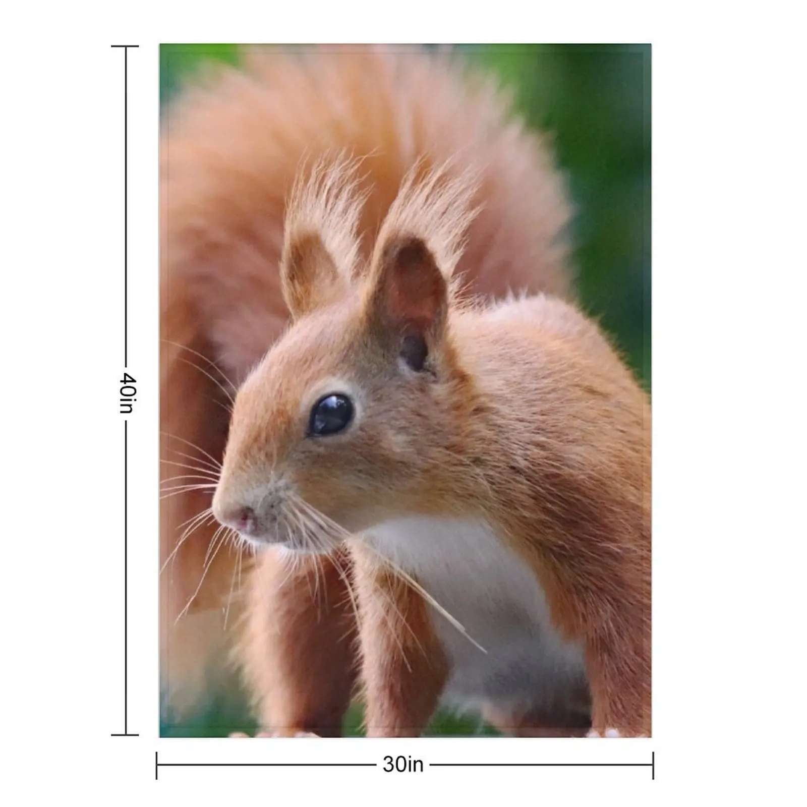 A Gorgeous Red Squirrel Throw Blanket for winter sofa bed Cute Comforter Blankets
