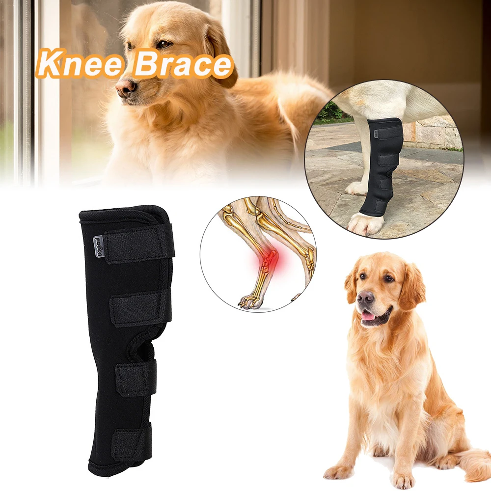 Injury Wrap Protector Joint Wrap Dog Support Brace Dog Supplies Pet Knee Pads Dog Wrist Guard Puppy  Kneepad