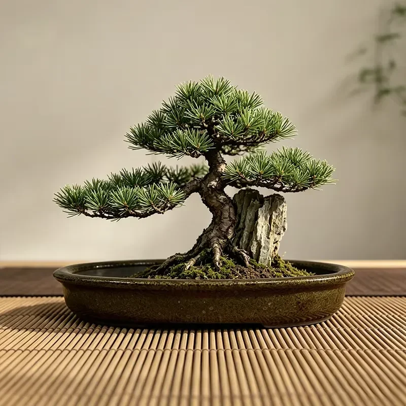 Irregular Yixing Purple Sand Bonsai Pot Rectangular Glazed Ceramic Flower Pot for Indoor and Outdoor Use