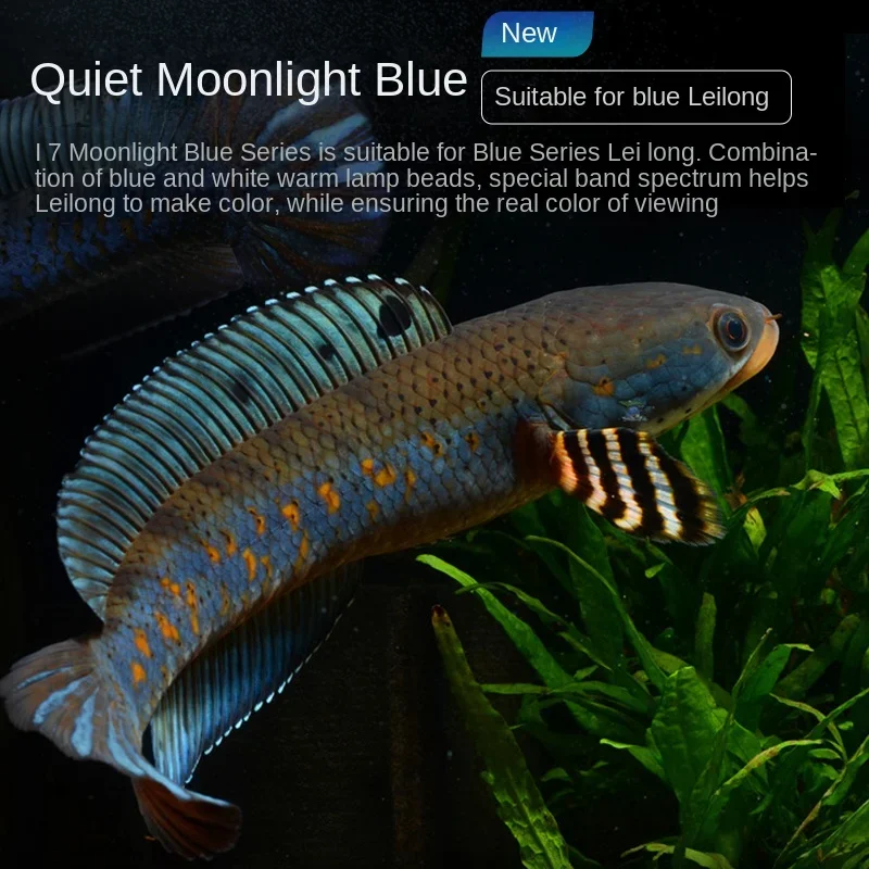 Thunder Dragon Fish Tank Light Assam Baka LED Light Waterproof Moonlight Blue Eyes Snake Brightening Color Special Light