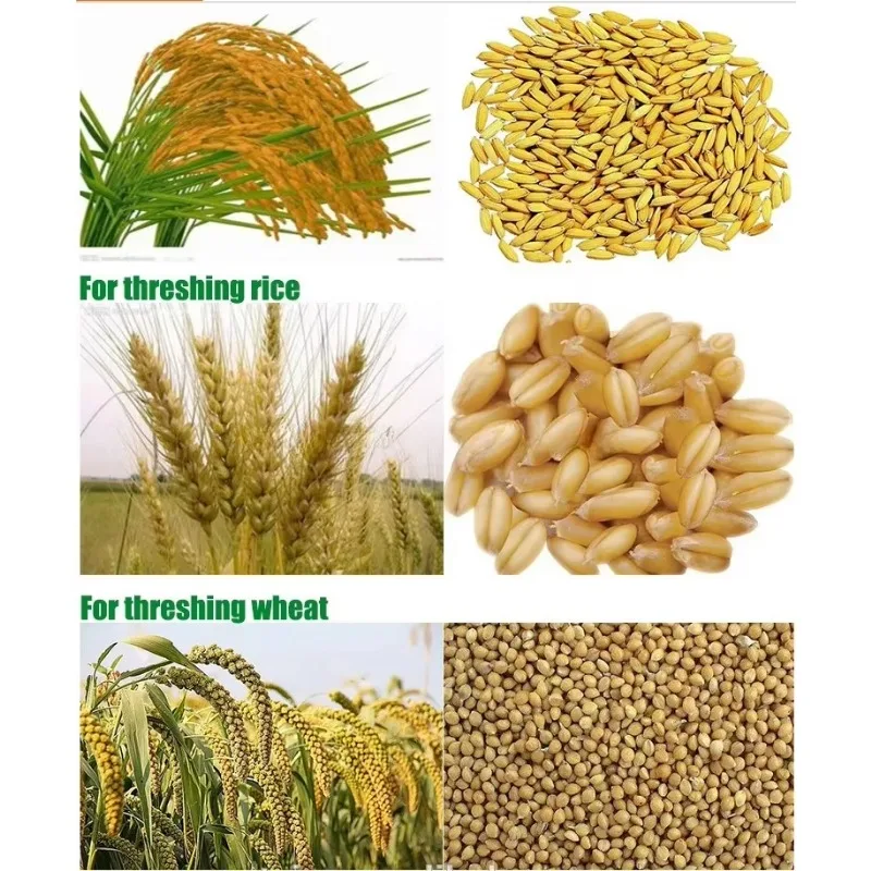 2025年式工場用小型電動トウモロコシ脱穀機、トウモロコシ脱穀機、多機能穀物ソルガムトウモロコシ脱穀機
