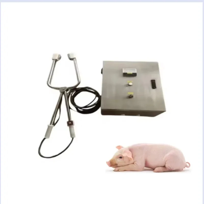 

Complete Pig Slaughter Line Manual Stunning Device High Productivity Stunner Equipment Sow Slaughteouse