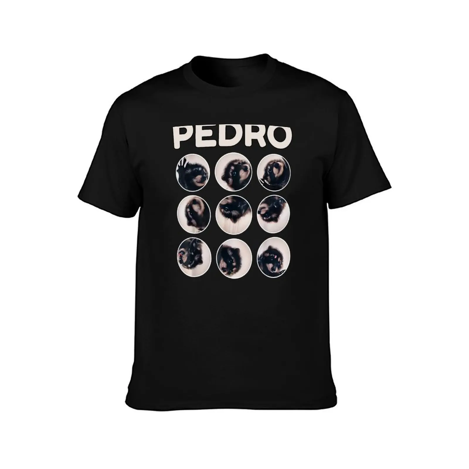 Pedro Racoon Dance Popular Internet Meme Mapache Dance T-Shirt Basic Tee Shirt for Everyday Outfit T-Shirt