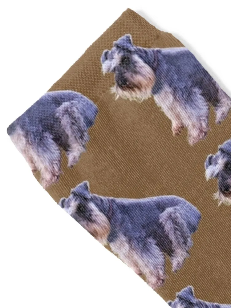 Copy of Schnauzer sitting on the grass Socks Children's cotton colored Socks Women's Men's