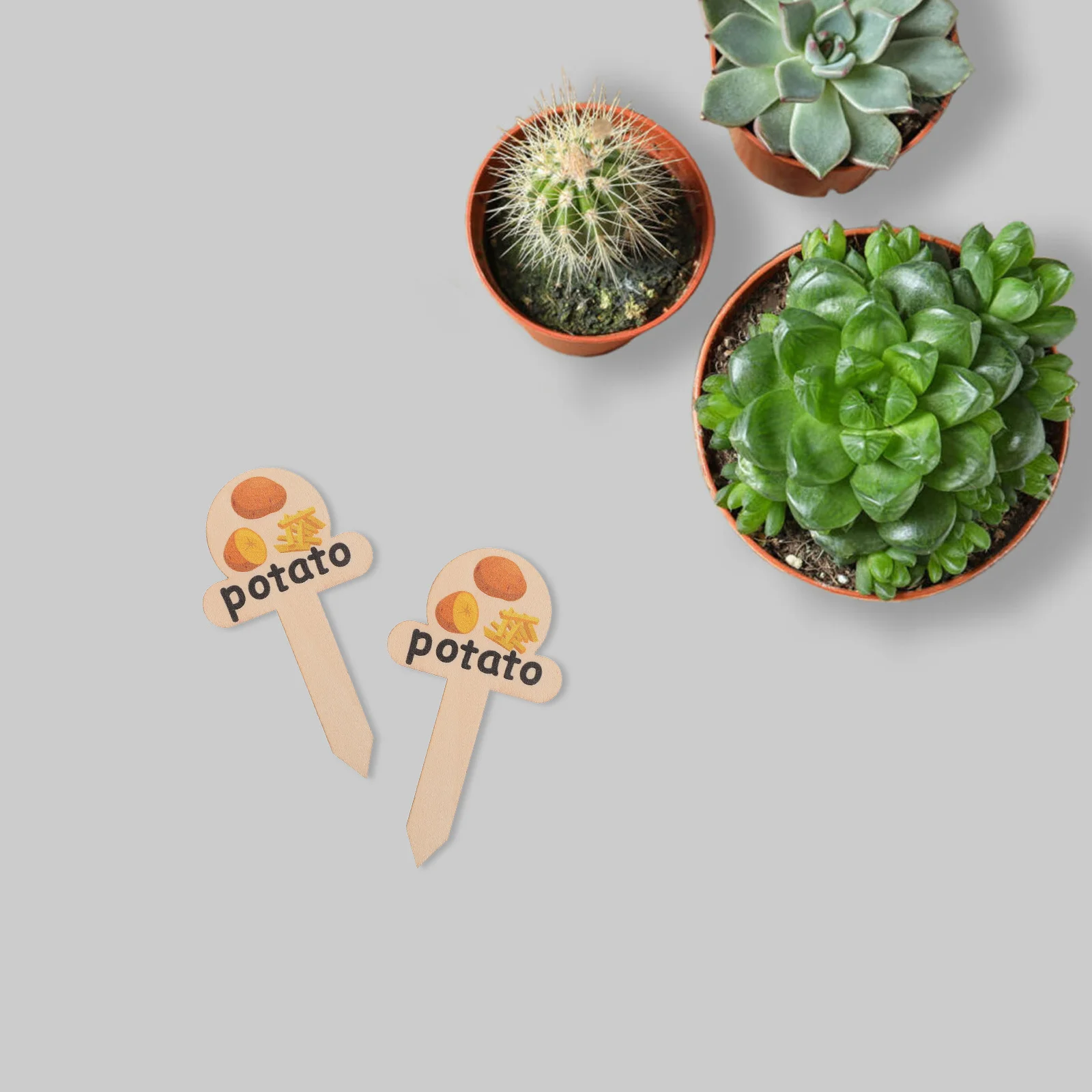 

10Pcs Plant Labels Wooden Markers Durable Rustic Garden Marker for Indoor Outdoor Plant Pots Succulent Flowers