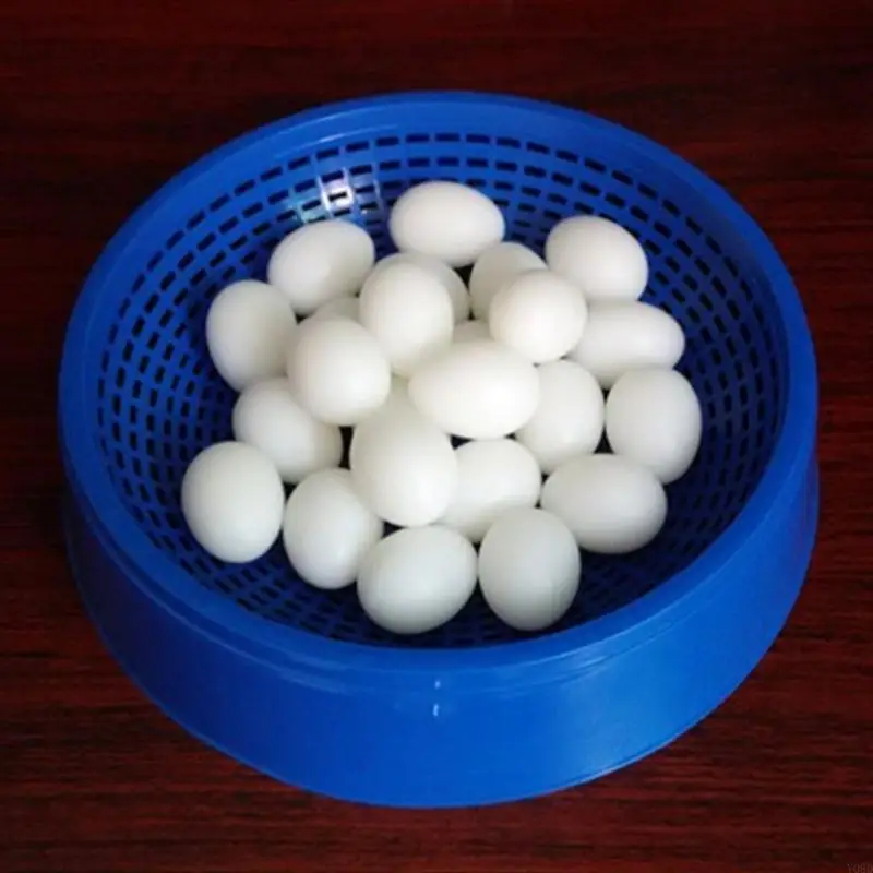 Y08D 5Pcs Artificial Bird Eggs Solid Parrot Plastic Eggs Parakeet False Hatching Eggs for Parrotlet Diamond for Dove