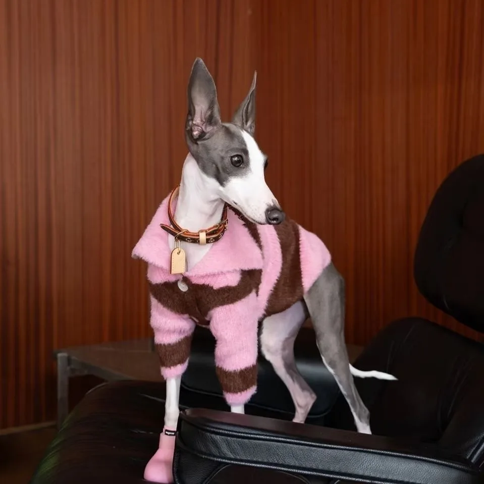 �y�Z�[�����z�g�����X�g���C�v���̌��p�Z�[�^�[�A�L�p�Z�[�^�[�A�y�b�g���A�H�~�V��A���^�����璆�^���i�r�V�����A�e�f�B�A�e���A�Ȃǁj����