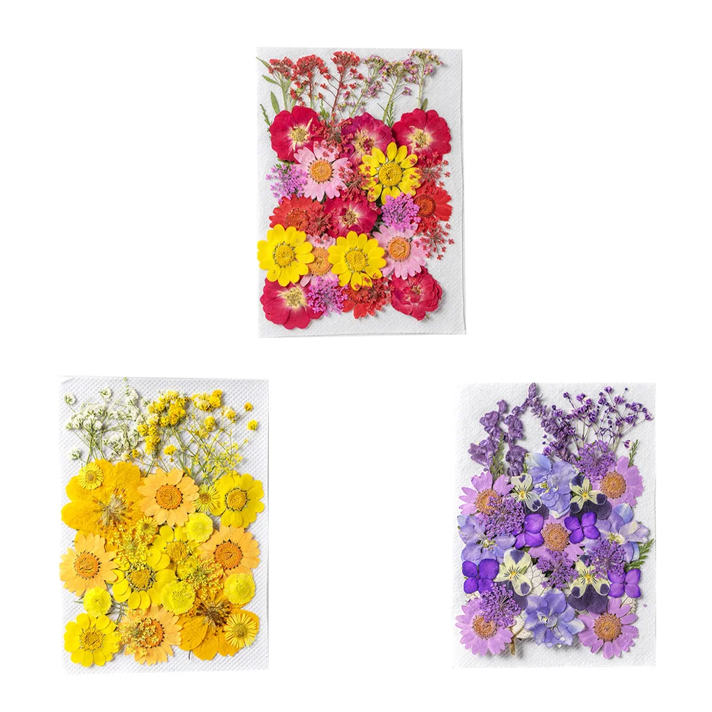 Natural Dried Flower Crafting Bouquets Decoration Embossed Flowers Plants Beautiful Household Colorful for Face Makeup