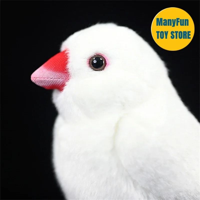 الأبيض جافا سبارو عالية الدقة فينش بلوشي جافا الأرز الطيور ألعاب من نسيج مخملي نابض بالحياة الحيوانات المحشوة لعبة محاكاة للأطفال #2