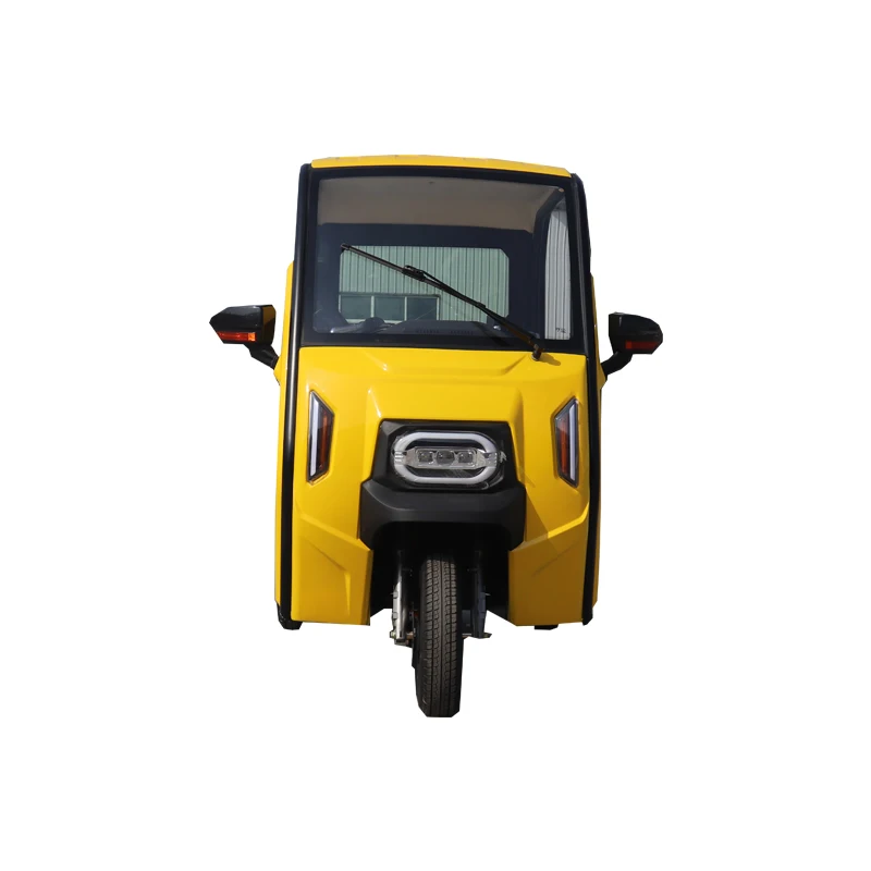 Professional Service Electric Tricycle Closed 100km Range Can Carry 3 People 40km/h Max Speed for Passenger Use