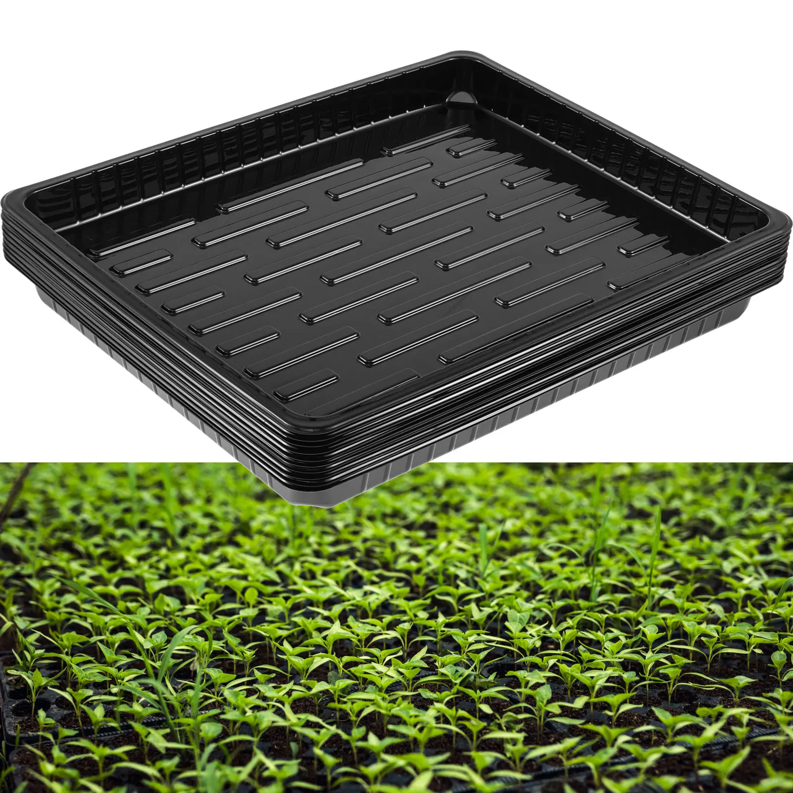 

10Pcs Plastic Growing Trays No Holes Seed Propagation Tray Durable Nursery Seedling Trays Reusable Seed Germination Trays