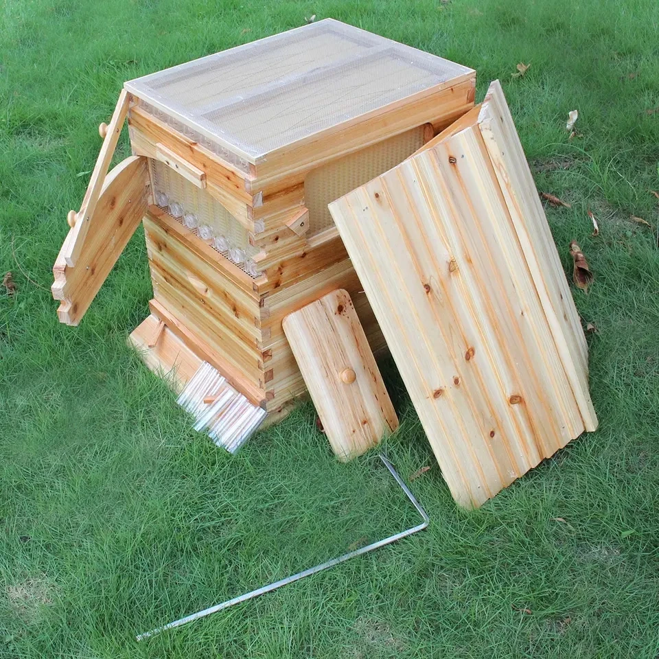 Complete Full Set Automatic Self Flowing Honey Bee Hive Apiculture Fir Wood Beekeeping Outflow Beehive Box With 7PCS Frame