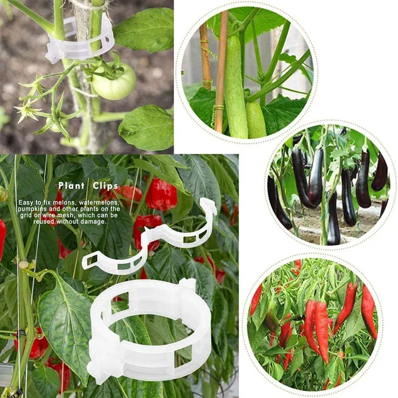 50/100 pçs clipes de plantas suporta plástico reutilizável conectar fixação videira tomate haste enxertia plantas vegetais pomar clipes de suporte