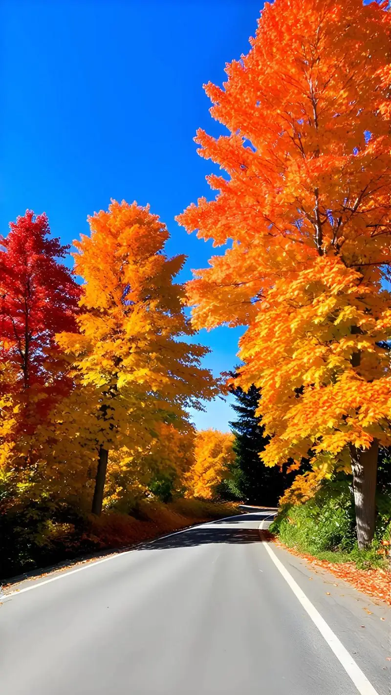 

30ml 60ml 120ml Skull Bottle Bitter Bottle E Liquid Frosted Black Skull Shape Glass Dropper Bottle With Child Proof