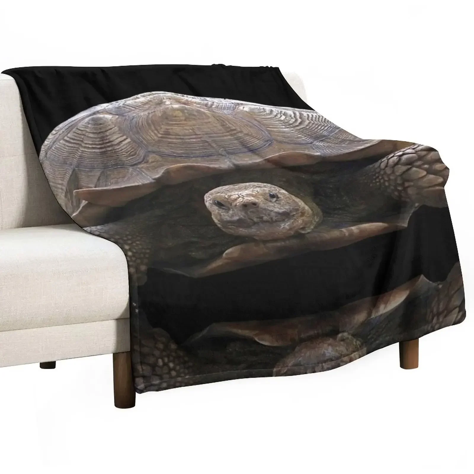 Sulcata Tortoise with Reflection Throw Blanket Hair anime Softest Moving Kid'S Beach Blankets