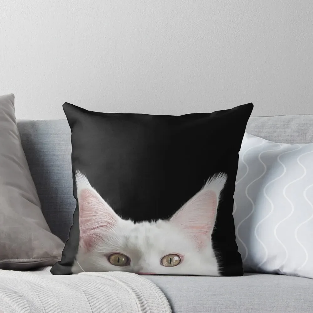 Mainecoon cat Throw Pillow pillow pillowcase Sofa Decorative Covers pillow