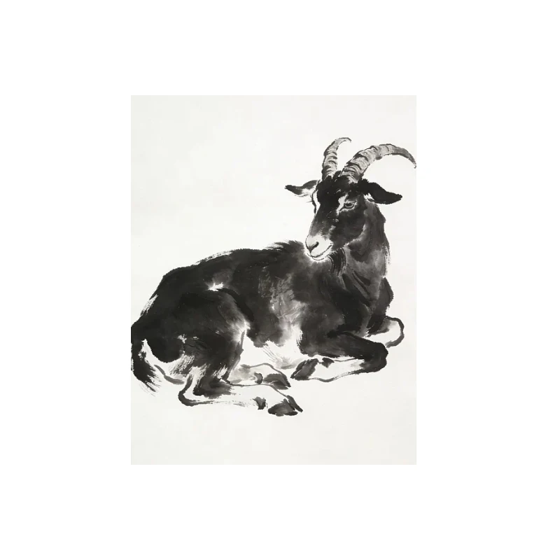 

HGLRC 5.8G 5.5W High Power VTX Adjustable Power Sink OSD Wideo Transmitter for FPV Freestyle RC Long Range Drone