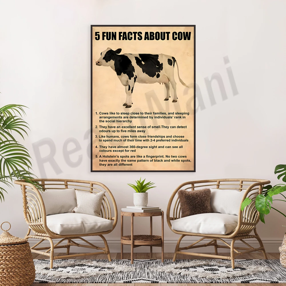 Cow Facts – 5 Fun Facts About Cows Cows love to sleep next to their families and sleeping arrangements are a sure thing poster