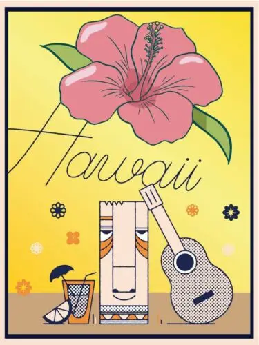 Metal plaque vintage retro style Hawaii Flower Classic tin door sign Travel