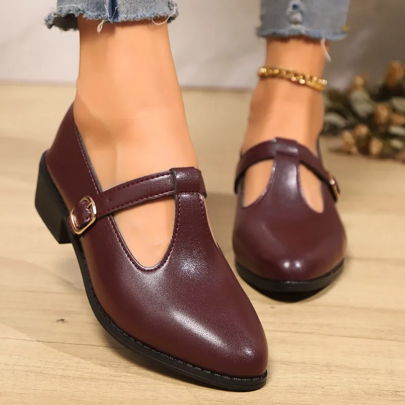 

2025 Spring and Autumn Thick Bottom Hollow Pointed High Heels Women's Retro Solid Color Comfortable Mary Jane Shoes Mujer
