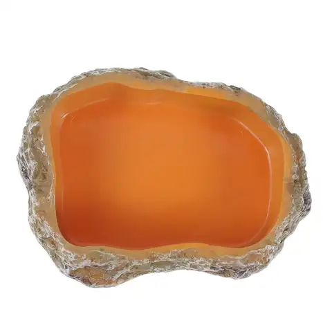 파충류 물 접시 먹이 그릇, 탱크 장식, 양서류 먹이 그릇 개구리 거북이 뱀을위한 파충류 음식 접시