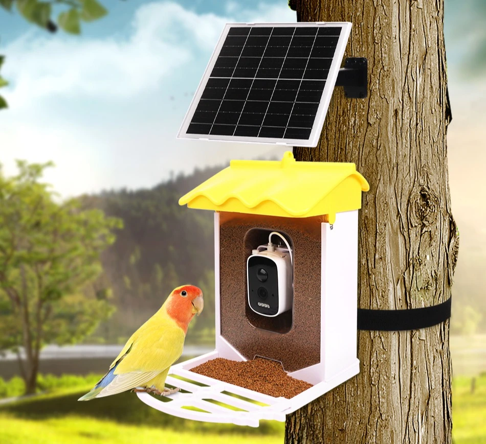 وحدة تغذية الطيور الذكية في الهواء الطلق مقاومة للماء تعمل بالطاقة الشمسية وكاميرا عالية الوضوح ومشاهدة الطيور بالذكاء الاصطناعي
