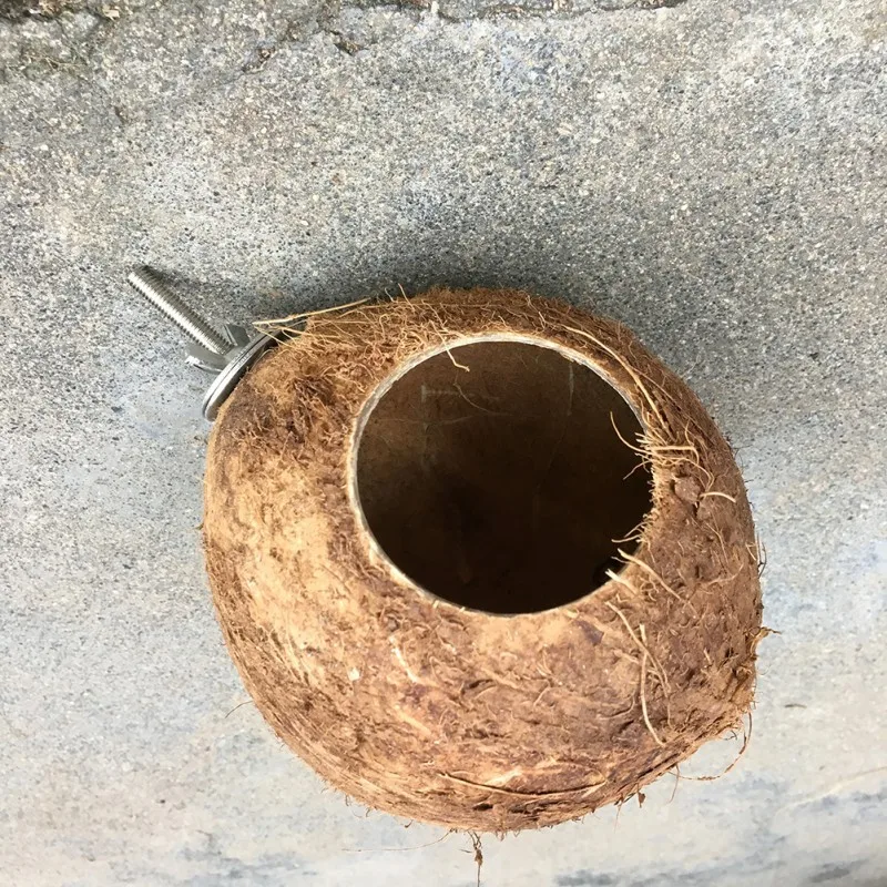 Coconut Bird Nest,Natural Coconut Shell Bird Nest House Hut Cage for Pet Parrot Parakeet