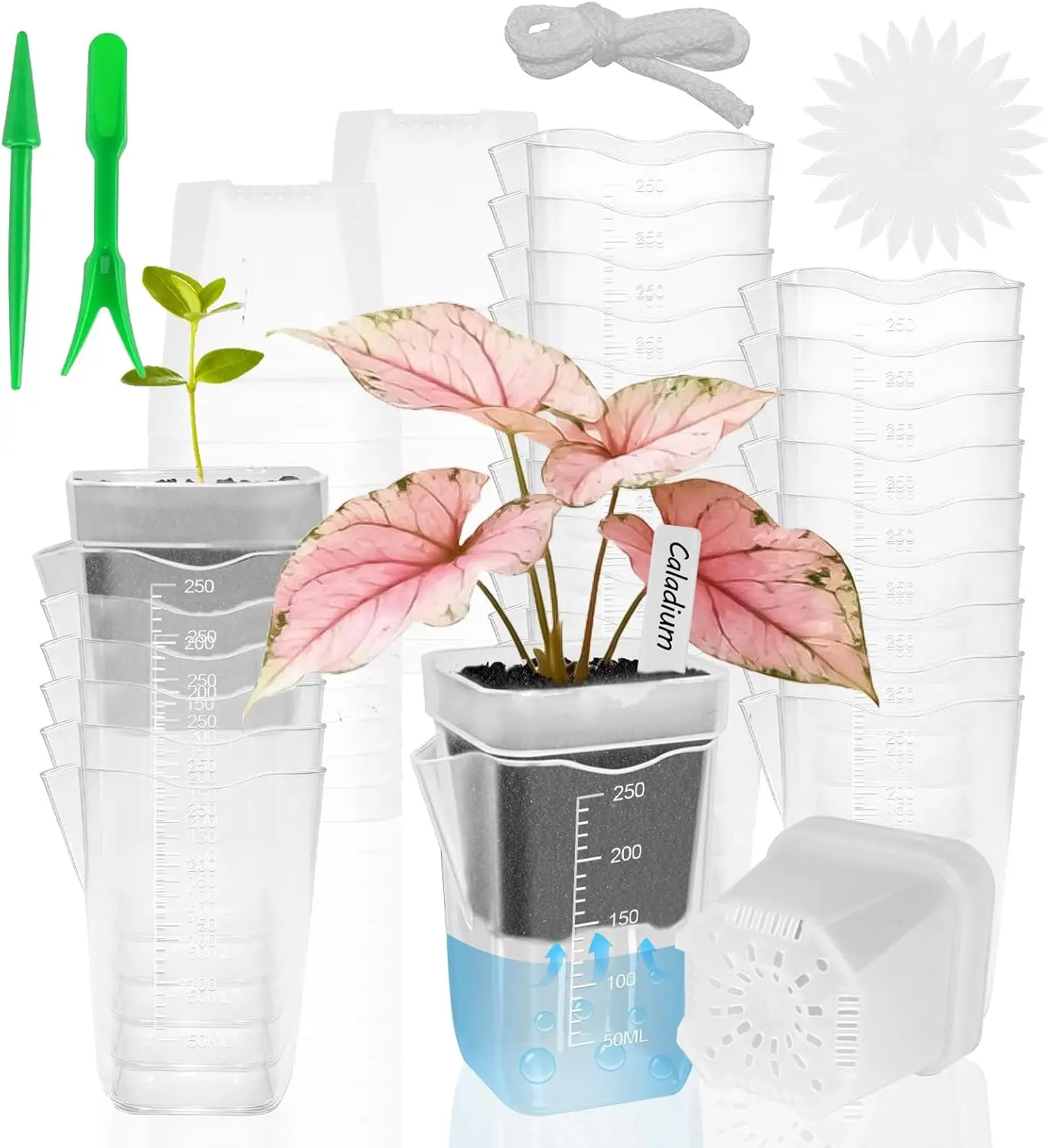 

50 Pack 2.5" Clear Self Watering Pots for Indoor Plants, Semi Hydroponic Pots with Drainage & Water Level & Plant Label,