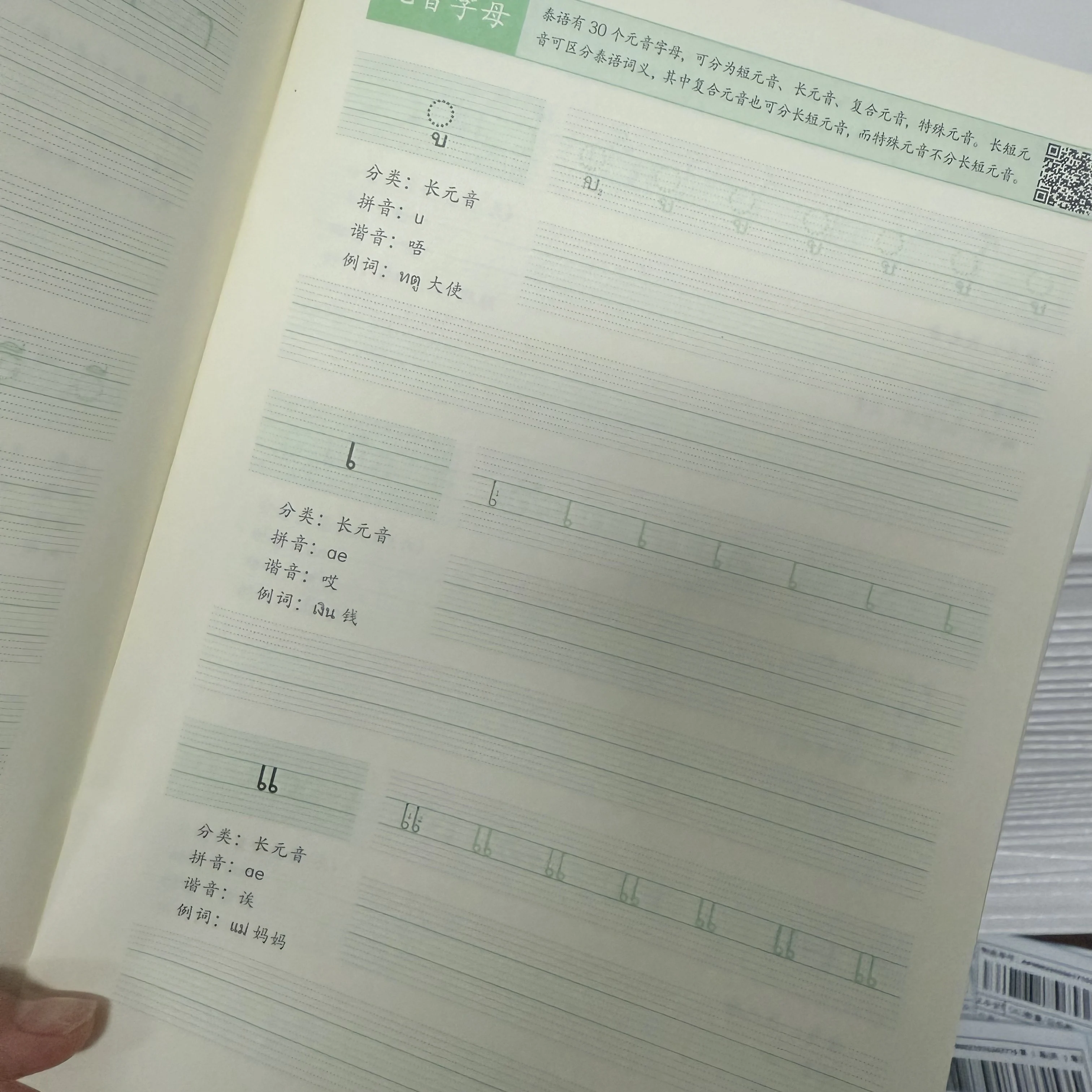 Thai Handwriting Practice Copybook Thai Alphabet Vocabulary Sentences Learning Workbook for Beginners
